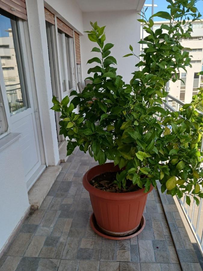 Room With Private Toilet And Balcony In City Center In Shared Apartment Split Exteriör bild